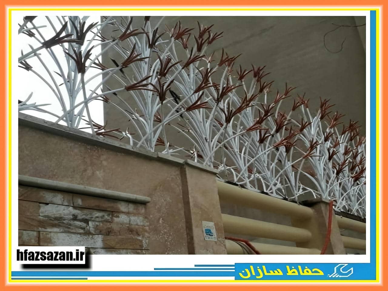 ویژگی های حفاظ شاخ گوزنی