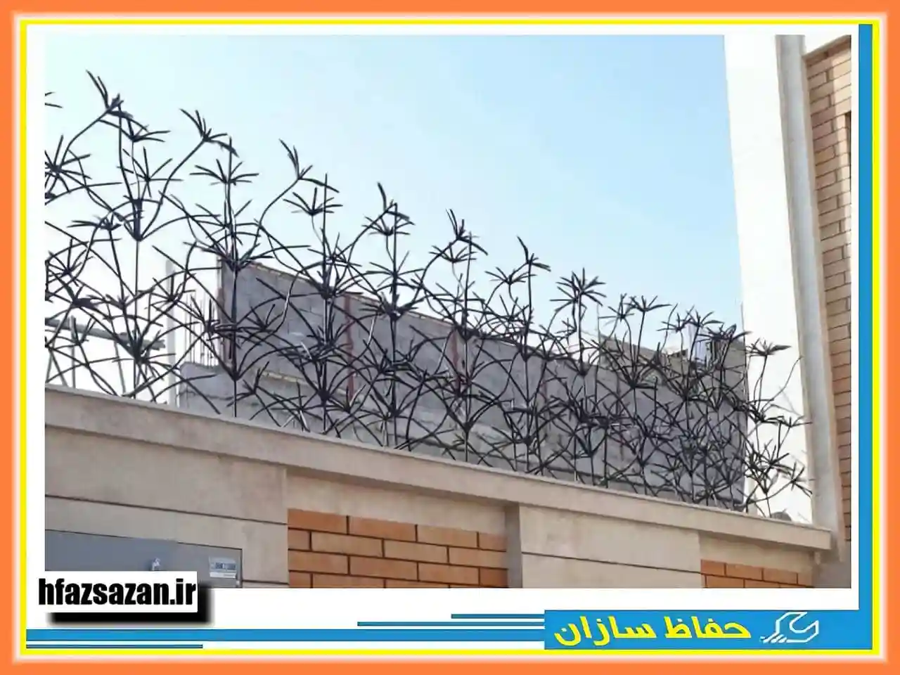 حفاظ شاخ گوزنی در مناطق مختلف