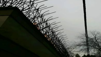 fence-wall-protection-deer-antler-spear-vs