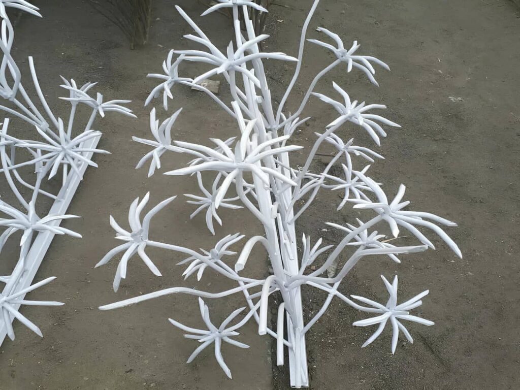 حفاظ نخل مرداب حفاظ نخل مرداب