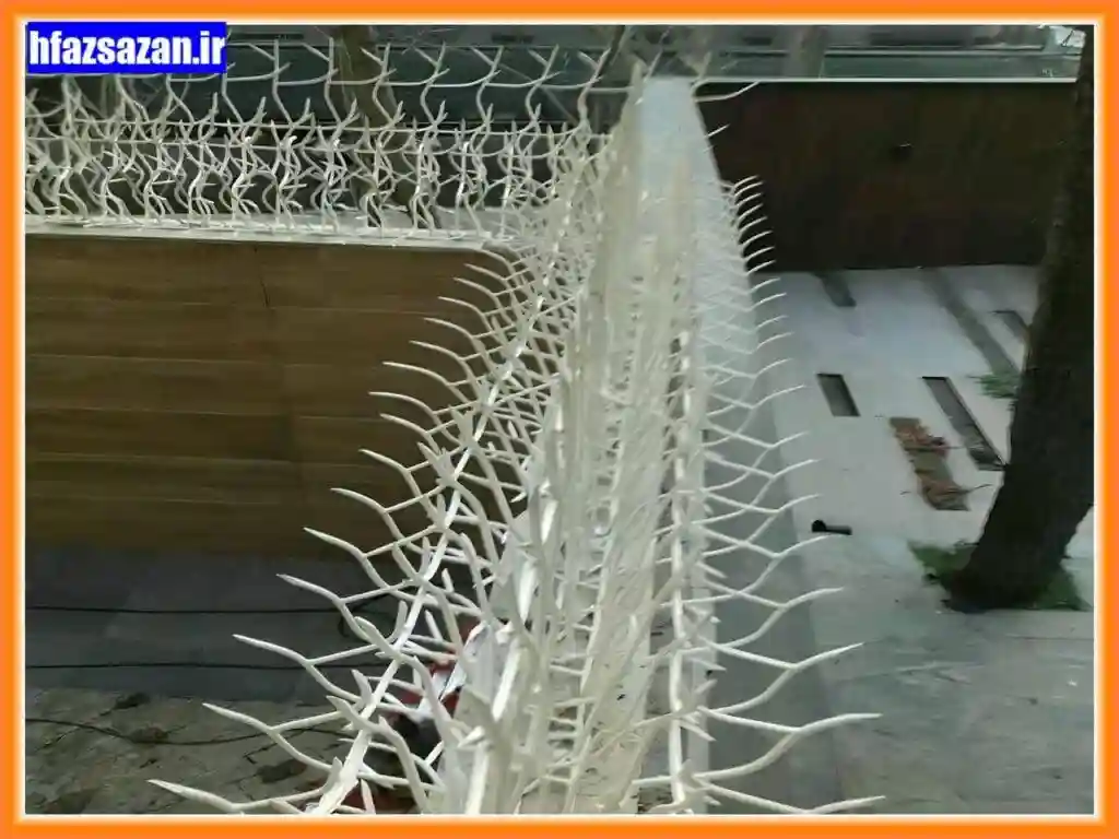 نسل جدید حفاظ شاخ گوزنی