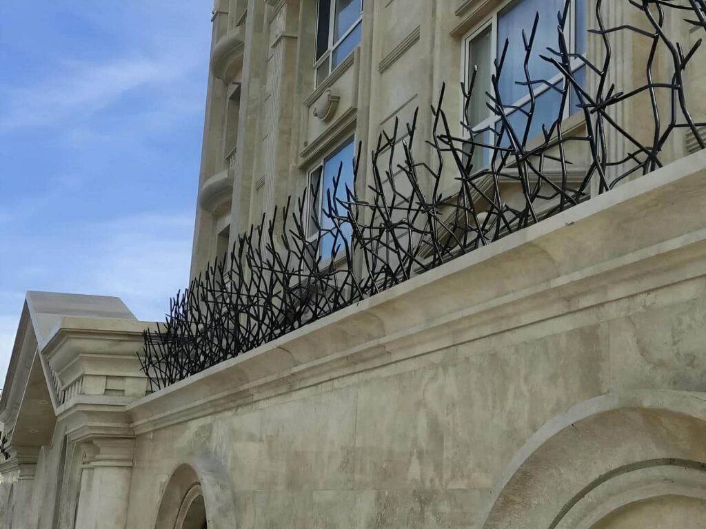 حفاظ شاخ گوزنی