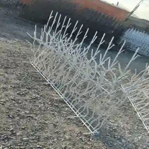 حفاظ شاخ گوزنی تراکم 31