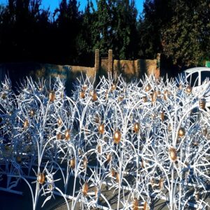 حفاظ گل آفتابگردان