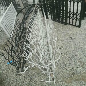 ساختار حفاظ شاخ گوزنی