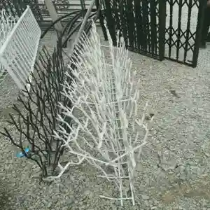 ساختار حفاظ شاخ گوزنی