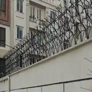 مشاهده مدل های متنوع حفاظ شاخ گوزنی