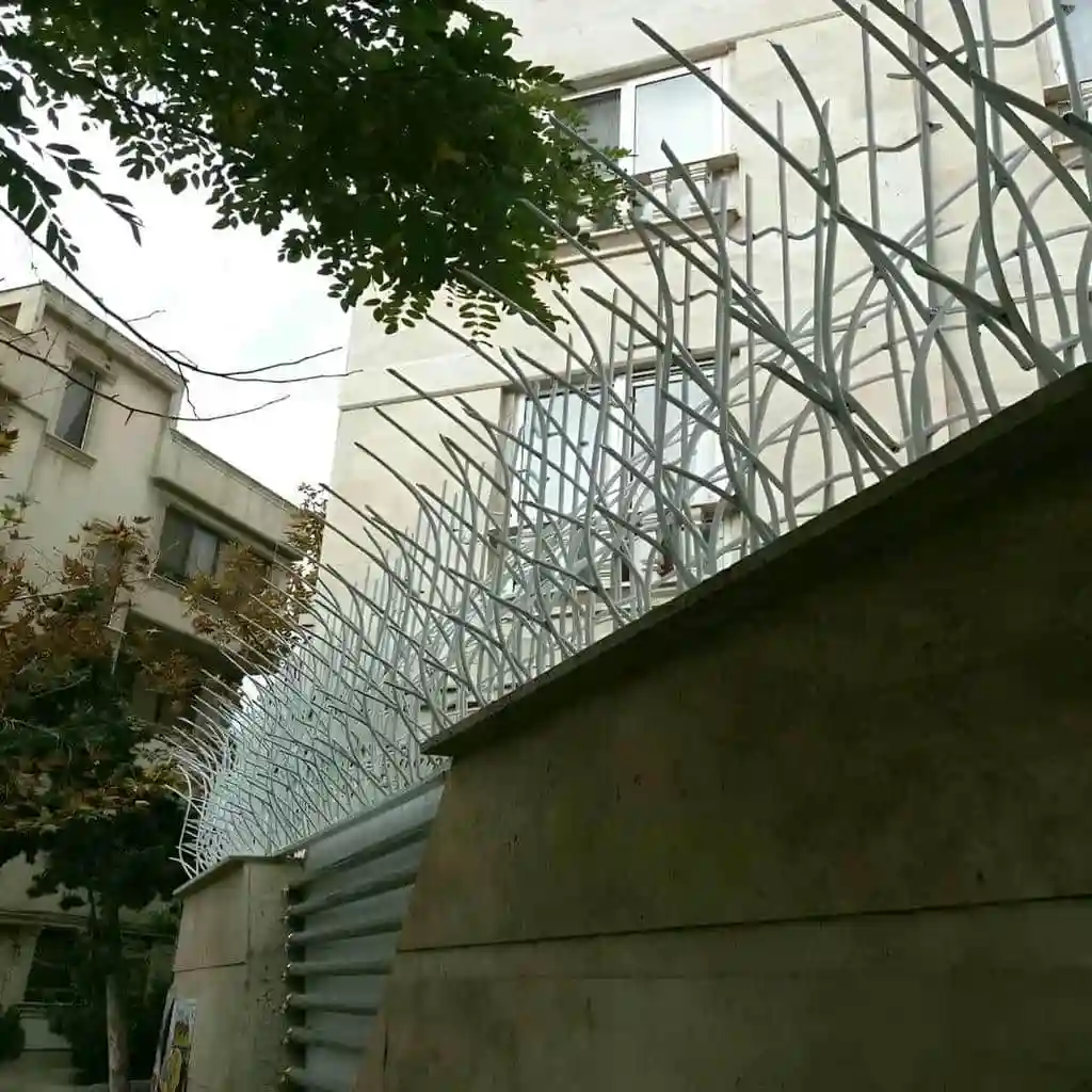 قیمت حفاظ شاخ گوزنی