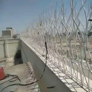 راهنمای خرید حفاظ شاخ گوزنی