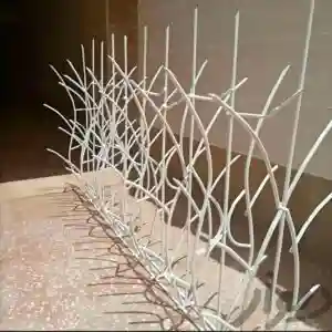 بهترین حفاظ دیوار