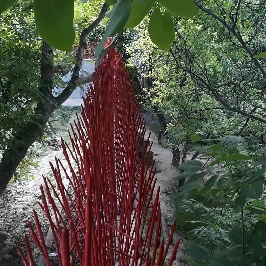 قیمت حفاظ بوته ای تراکم 88