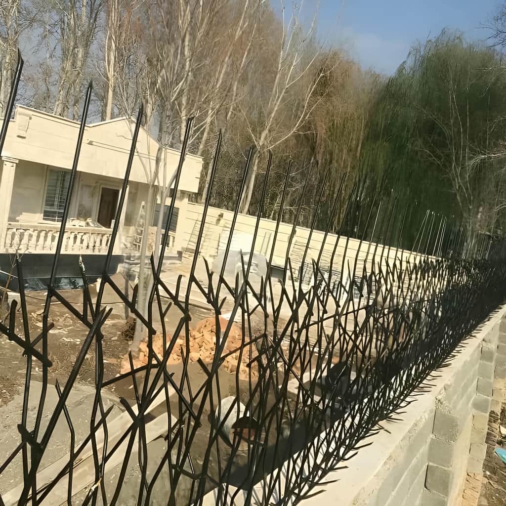 استعلام قیمت حفاظ شاخ گوزنی