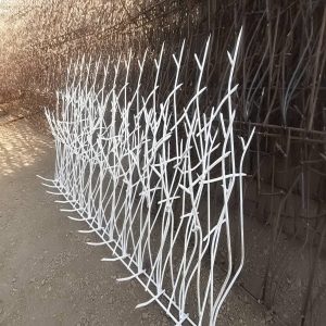 حفاظ شاخ گوزنی در اردبیل