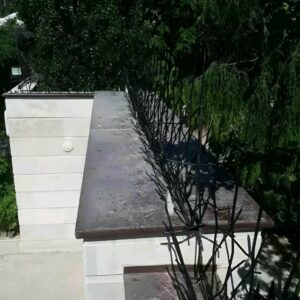 حفاظ شاخ گوزنی در گرگان