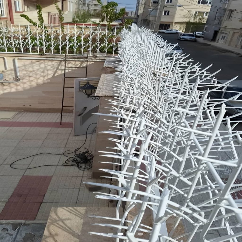 حفاظ شاخ گوزنی در کمال شهر