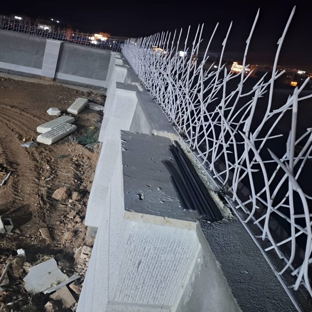حفاظ شاخ گوزنی در بومهن
