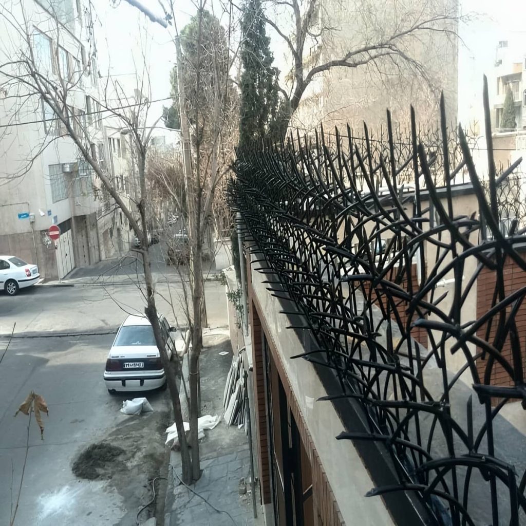 خرید حفاظ شاخ گوزنی شاخه‌ای در نیشابور