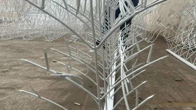 حفاظ شاخ گوزنی در کرج