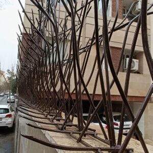 حفاظ شاخ گوزنی در قائمشهر