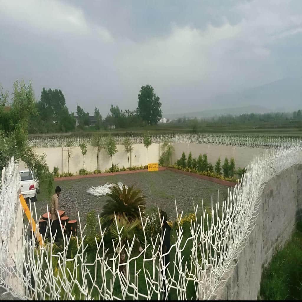 خرید حفاظ شاخ گوزنی شاخه‌ای در ساری