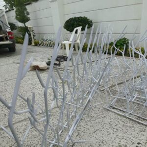 حفاظ شاخ گوزنی در بندر لنگه