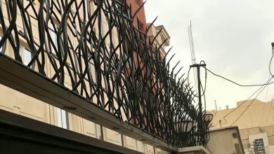 حفاظ شاخ گوزنی در سنندج