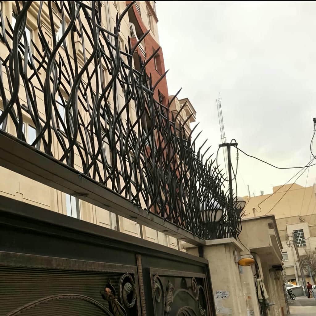 حفاظ شاخ گوزنی در سنندج
