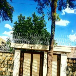 حفاظ شاخ گوزنی در اندیشه