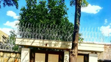 حفاظ شاخ گوزنی در اندیشه