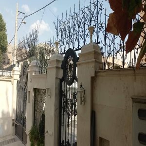 حفاظ شاخ گوزنی در همدان