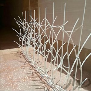 حفاظ شاخ گوزنی در شهریار