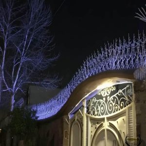 حفاظ شاخ گوزنی در اهواز