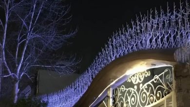 حفاظ شاخ گوزنی در اهواز
