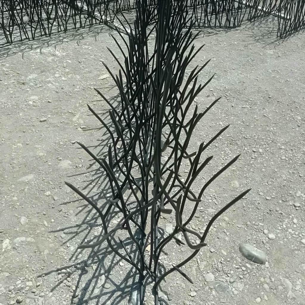 حفاظ شاخ گوزنی در طالقان