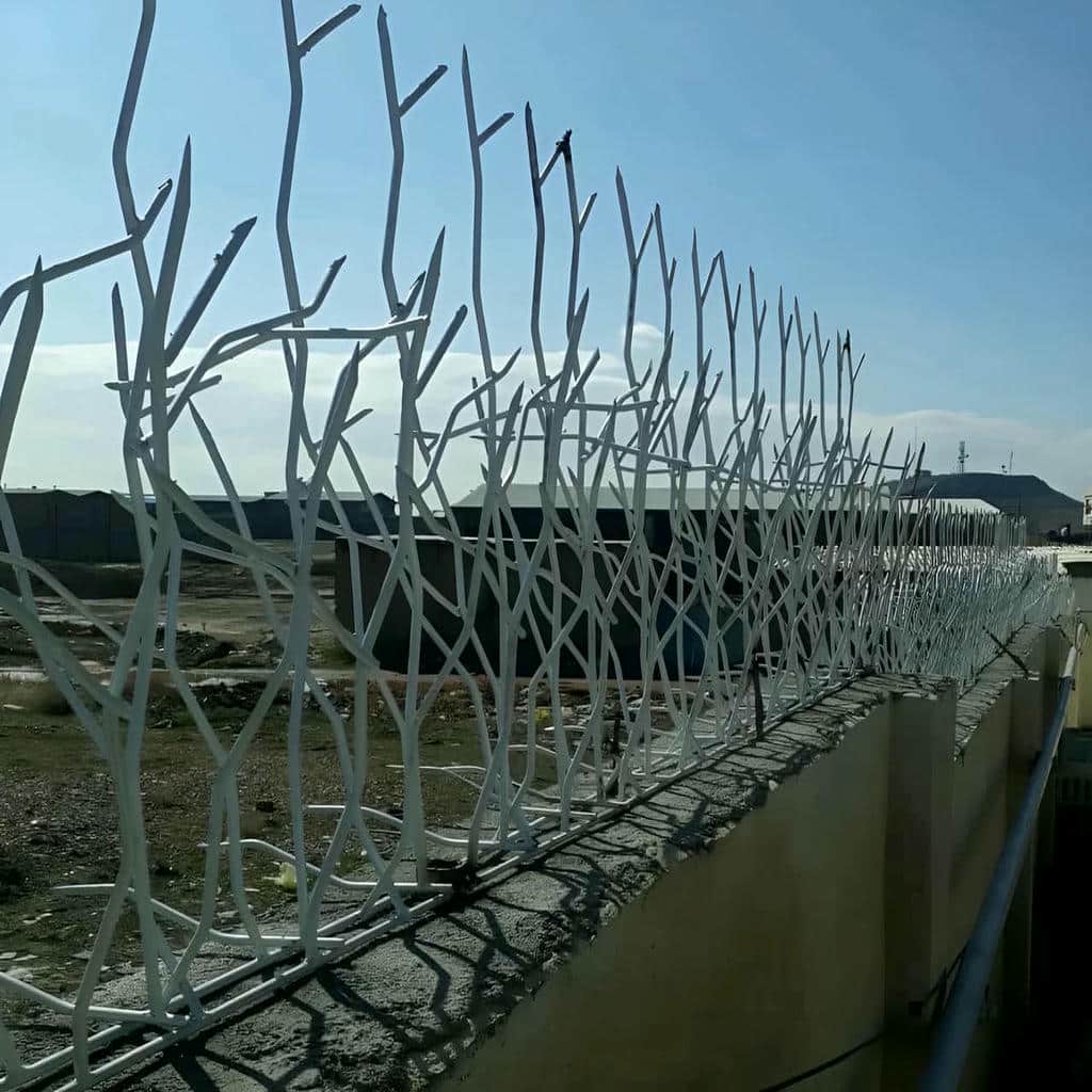 خرید حفاظ شاخ گوزنی شاخه‌ای در بندر انزلی