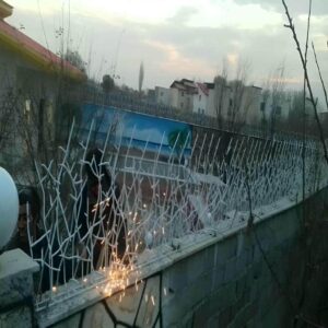 حفاظ شاخ گوزنی در بیرجند