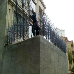حفاظ شاخ گوزنی در فیروزکوه