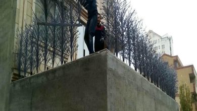 حفاظ شاخ گوزنی در فیروزکوه