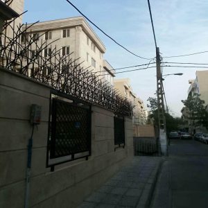حفاظ شاخ گوزنی در سبزوار
