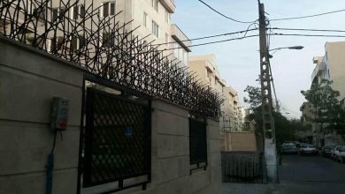 حفاظ شاخ گوزنی در سبزوار