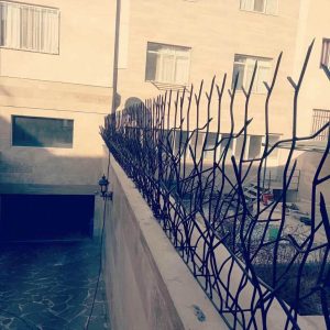 حفاظ شاخ گوزنی در استان گیلان