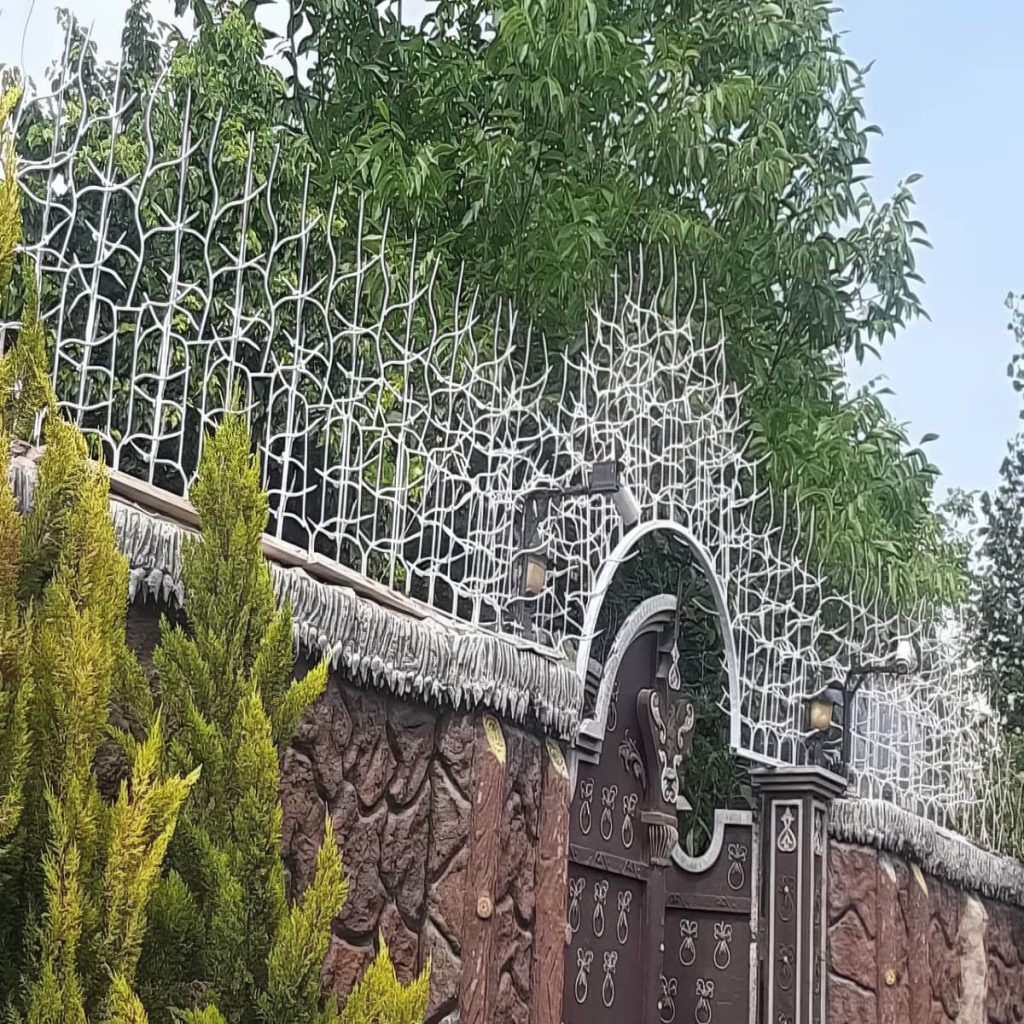 حفاظ شاخ گوزنی در آبادان