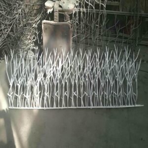 حفاظ شاخ گوزنی در رشت