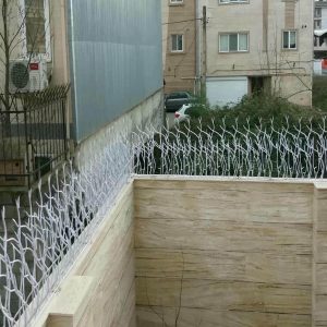 حفاظ شاخ گوزنی در استان خوزستان