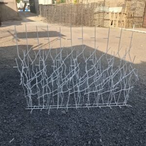 حفاظ شاخ گوزنی در خرم آباد
