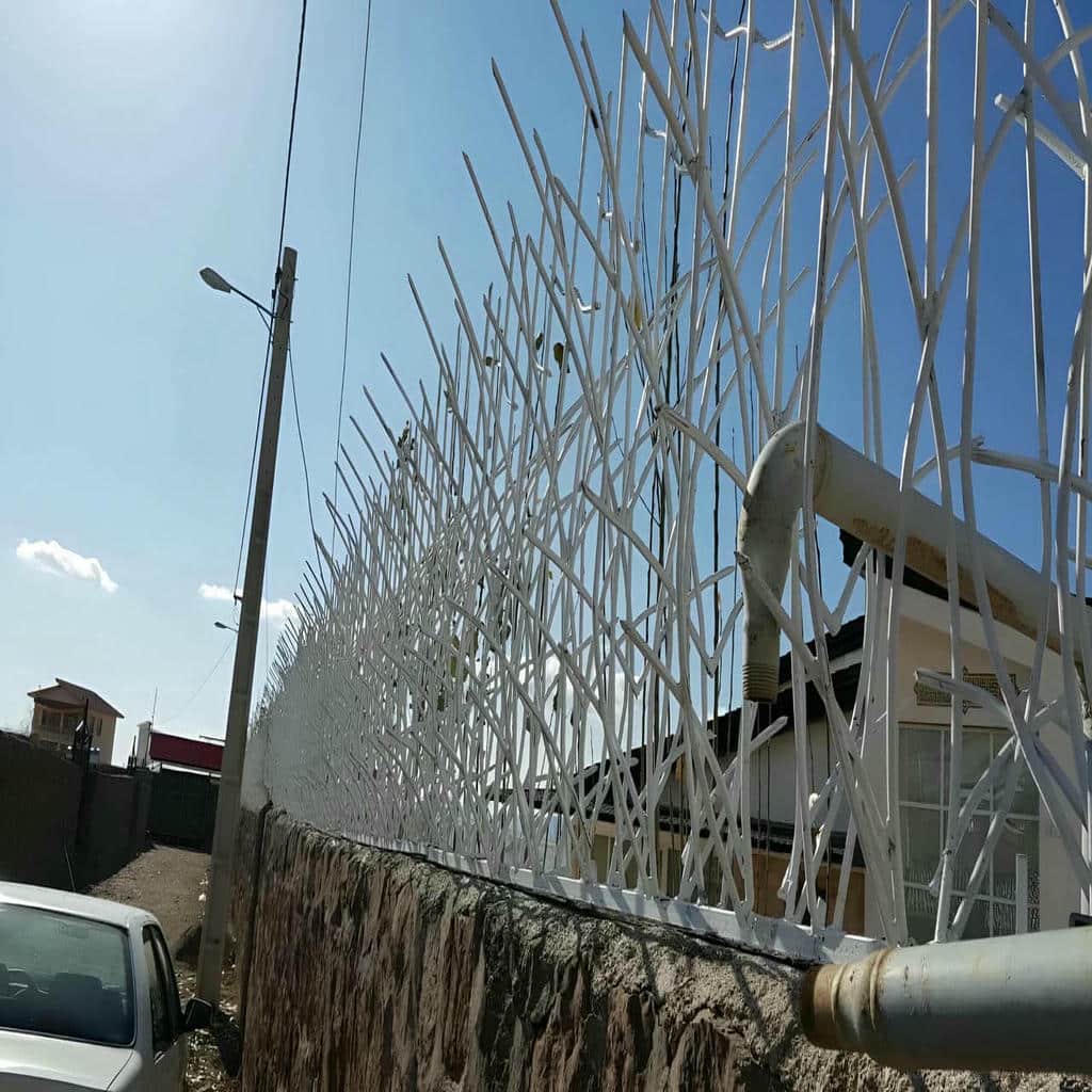 فروش حفاظ شاخ گوزنی تراکم بالا در بومهن