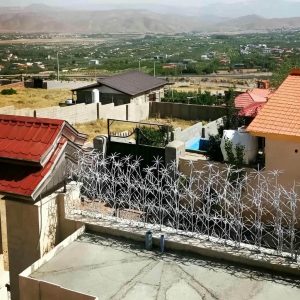 حفاظ شاخ گوزنی در استان مازندران