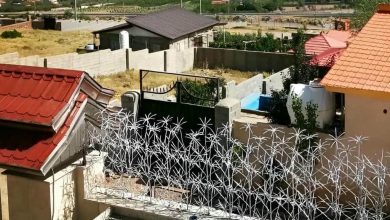 حفاظ شاخ گوزنی در استان مازندران