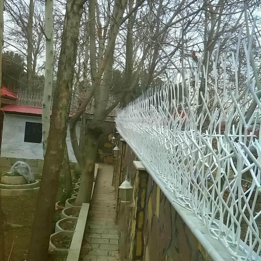 خرید حفاظ شاخ گوزنی شاخه‌ای در آبادان