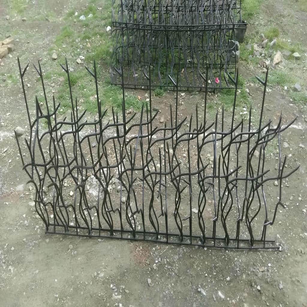 حفاظ شاخ گوزنی در یزد